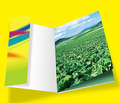 怎樣使公司的畫冊設計更吸引人呢？
